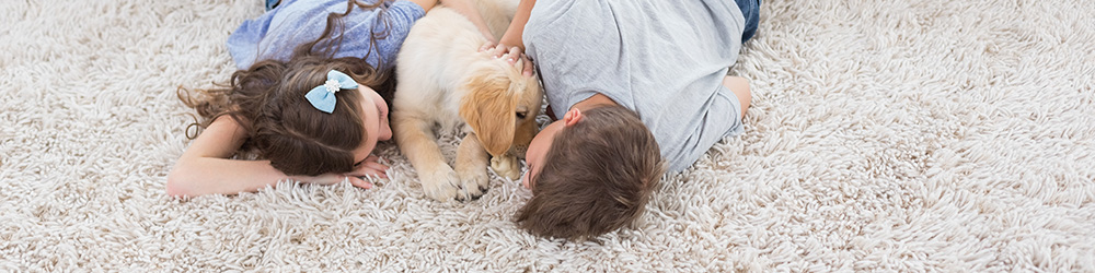 Kids and dog friendly carpet